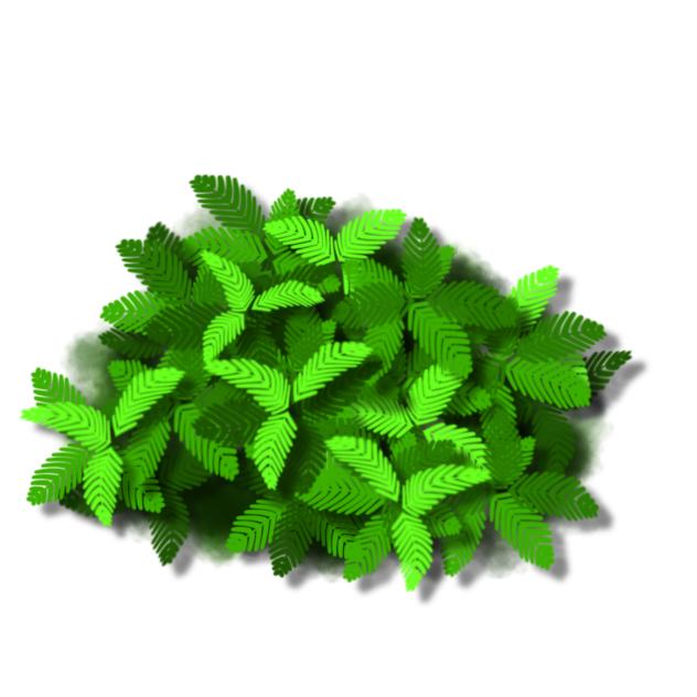 plant small