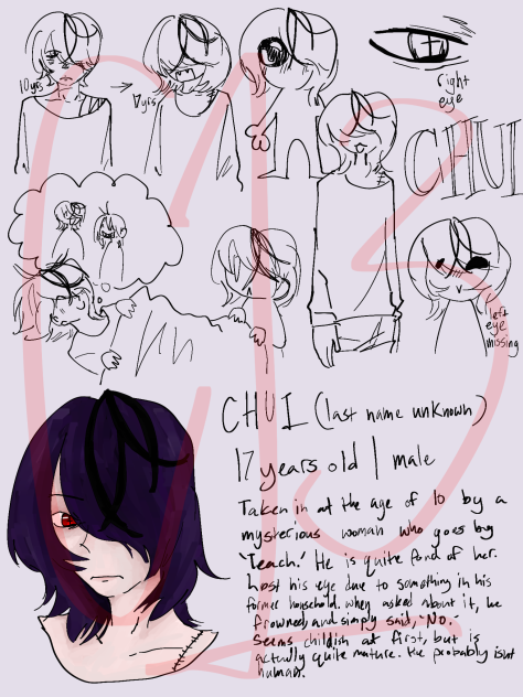 Chui doodle page