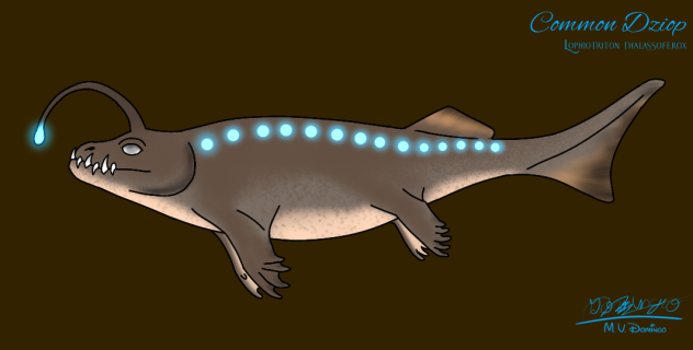 Common Dziop glow