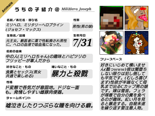 勝手に作った嫁のミリヘロ説明書