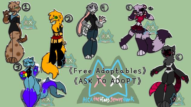 More Adoptables