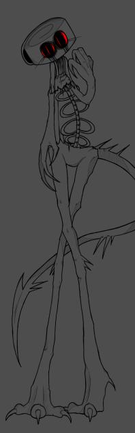 Shelly2