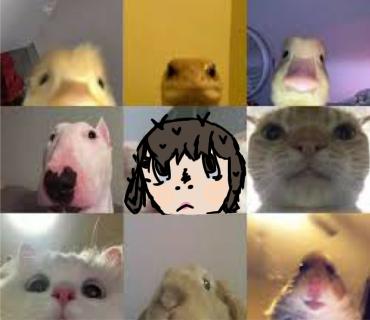 Call with the besties