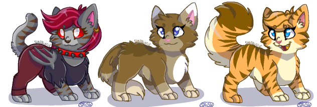 Cats of All Shapes and Sizes