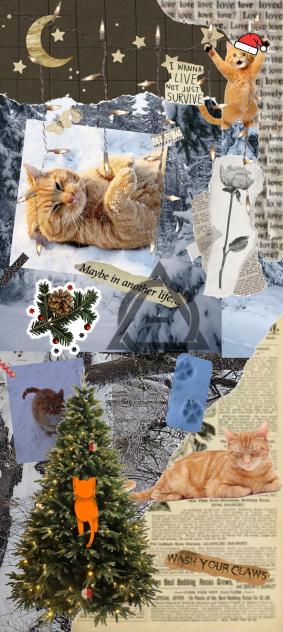 Orange Cat Christmas Wallpaper