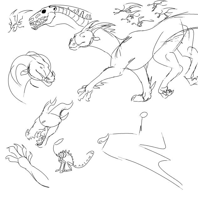 Dragon anatomy