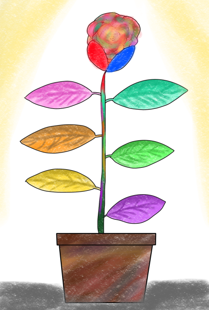 めずらしい花