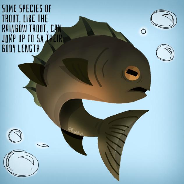 Fishy fish fish