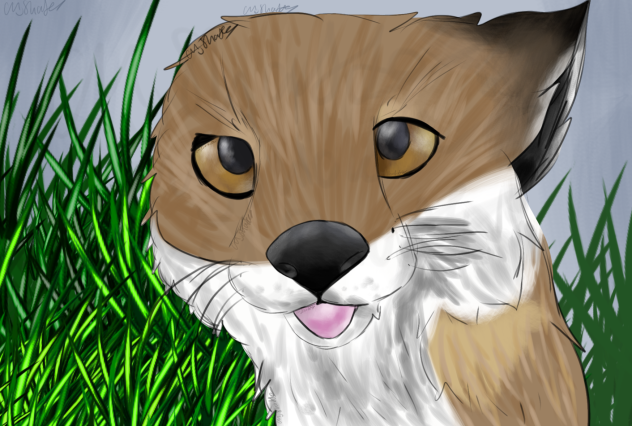 ^ Foxxx ^
