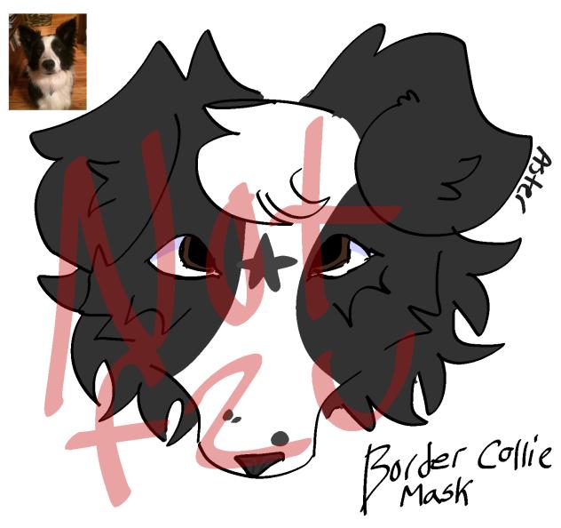 border collie mask design
