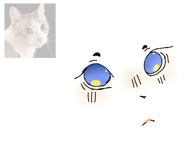 cat face theory
