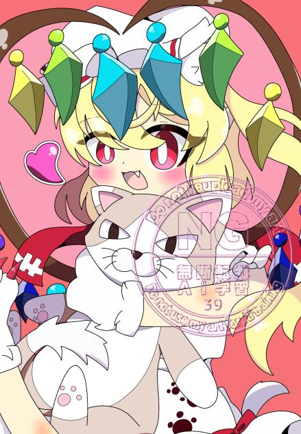 猫フランちゃん！！