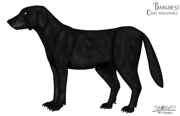 Barghest