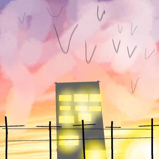sunset at the city ☆