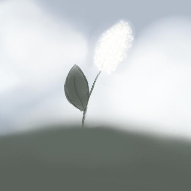 flower - ibisPaint