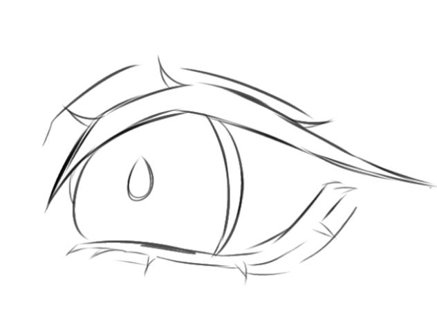 eye