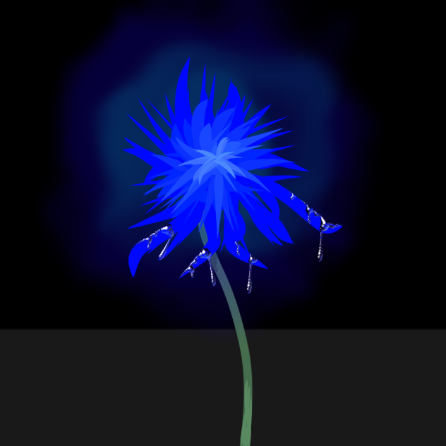 blue spider lily