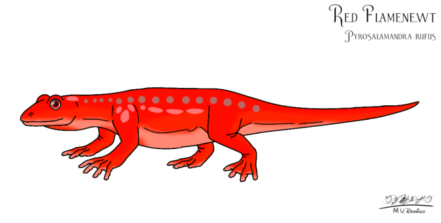 Red Flamenewts