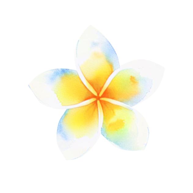 Plumeria (Watercolour)