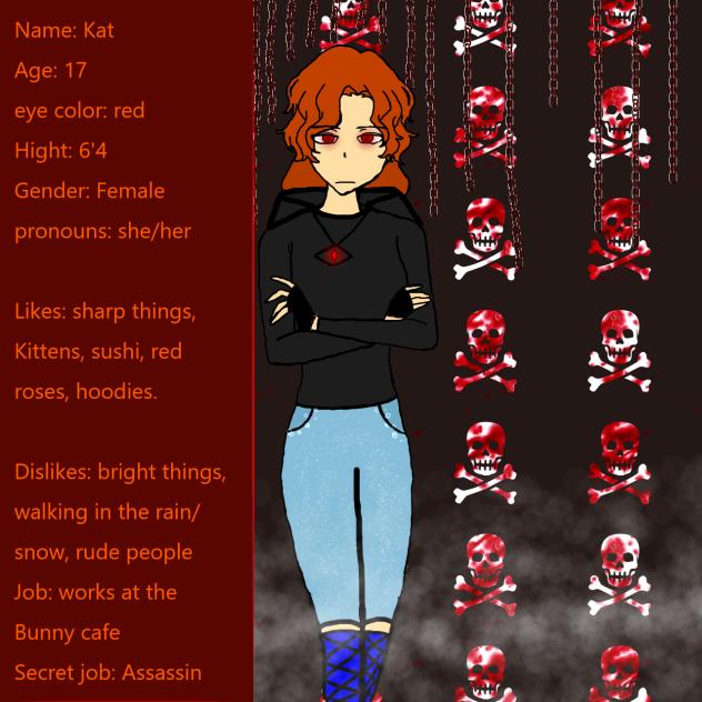 Kat the secret Assassin