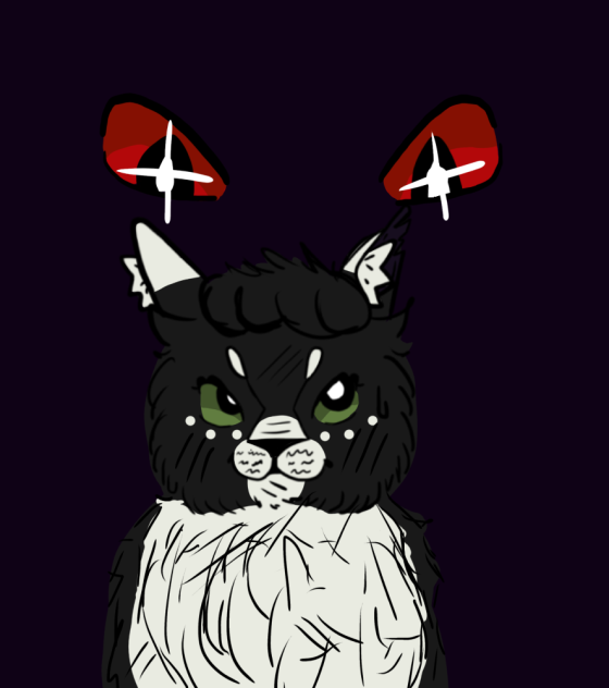 New oc