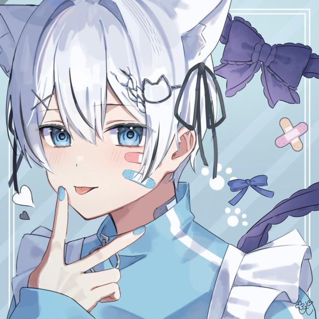 🐈‍⬛💙
