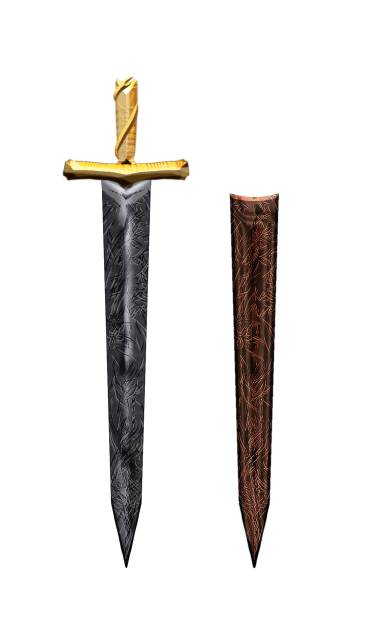 Sword and Sword case
