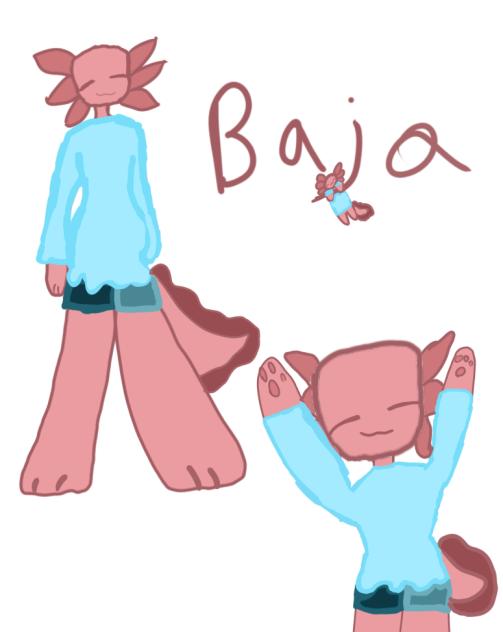 Baja