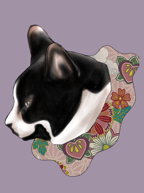 猫の横顔　ハチワレ