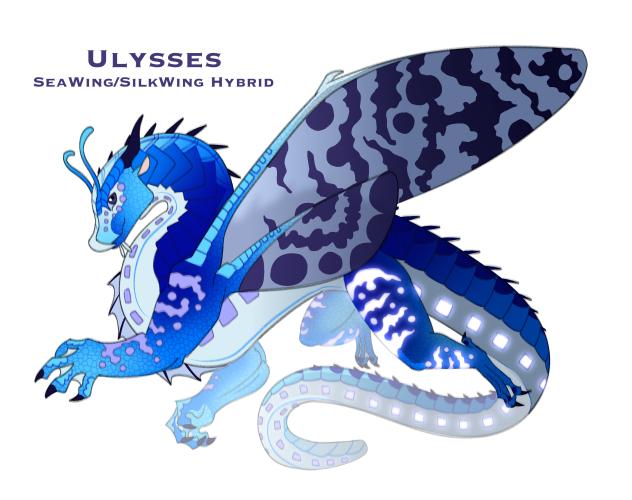 SeaSilk hybrid Wings of Fire