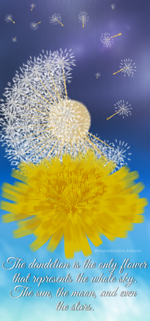 Dandelion Sky practice