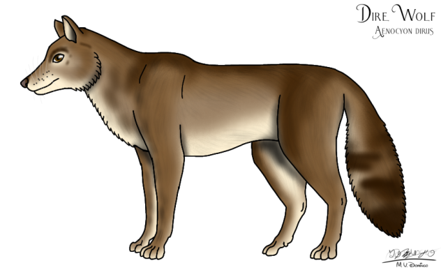 Dire Wolf (North America)