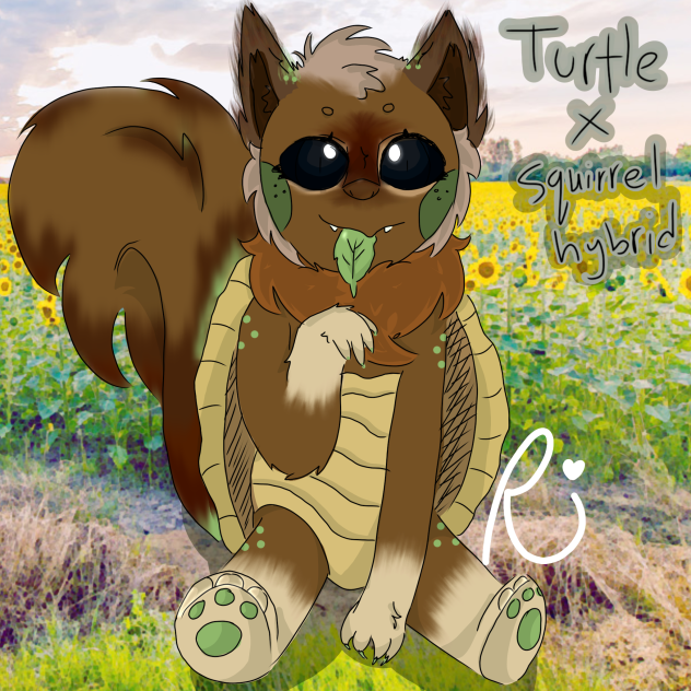 ✨🍄turtle×squirrel hybrid🐢💞🐿️