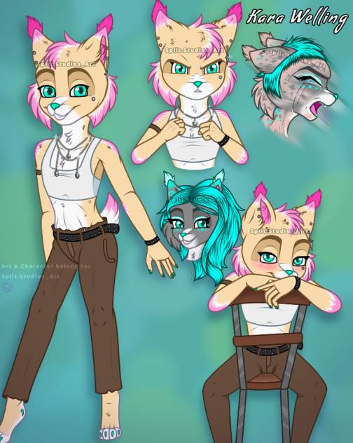 Kara Ref 2.0