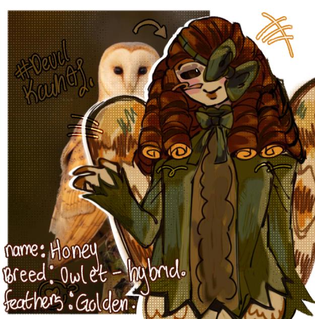 Honey Owl Familiar 🦉.