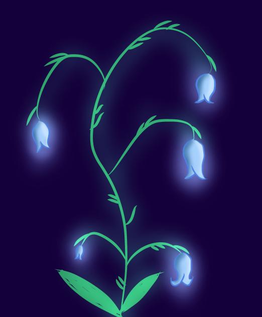 Blue bell sketch