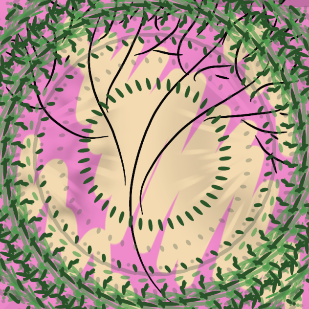 tree through a window