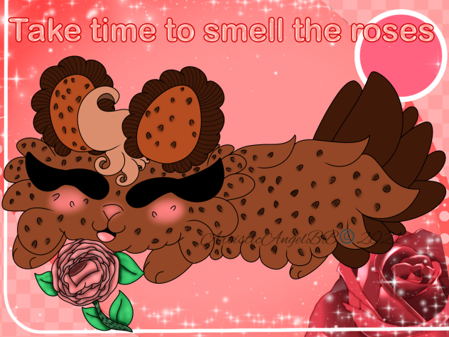 Dark Brown Self-Care Sea Bunny Take Time