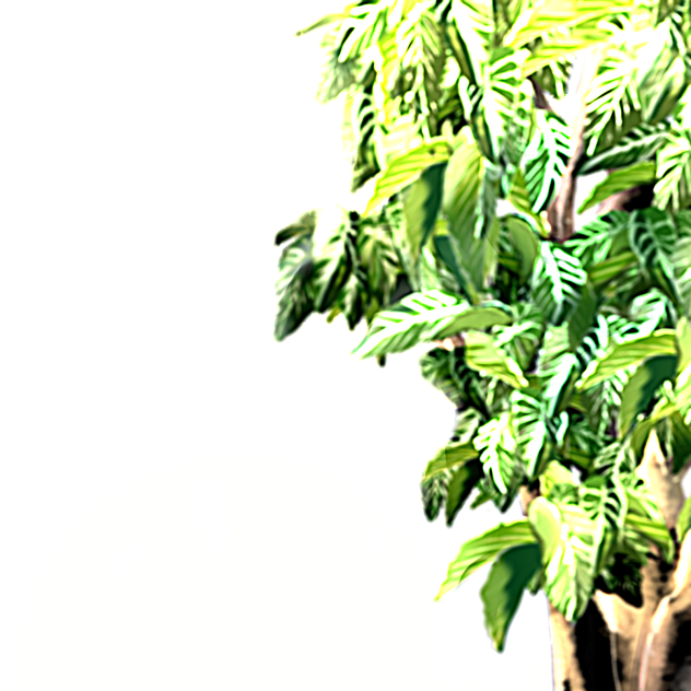 🌳