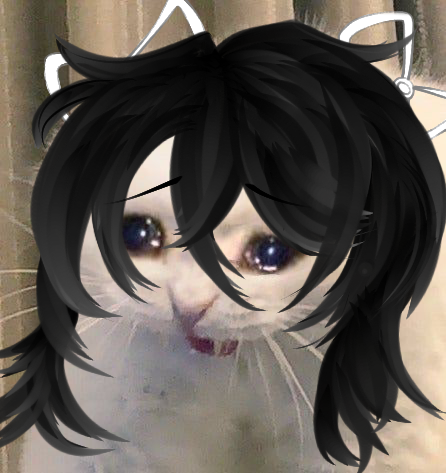 my oc x cat
