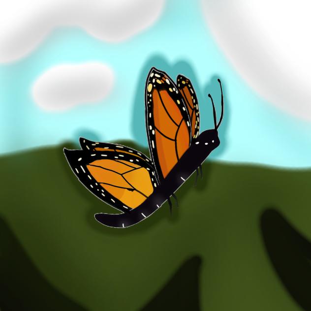 monarca 🦋