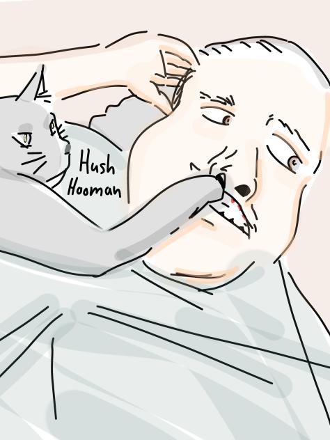 Meow hush