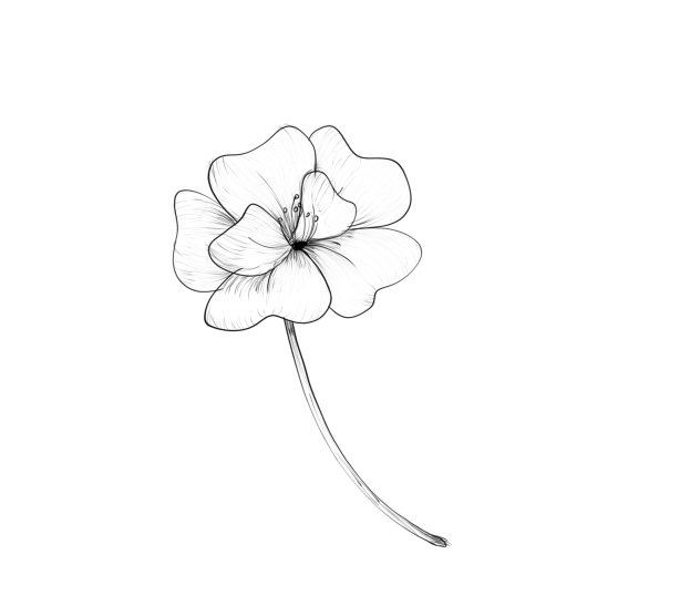 Here have a flower for your troubles