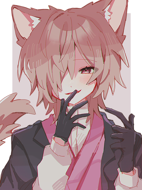 わん