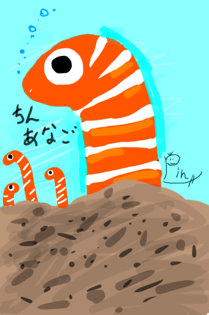 ちんあなご　※過去画
