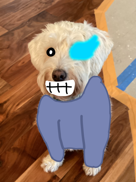 How Sans should’ve looked