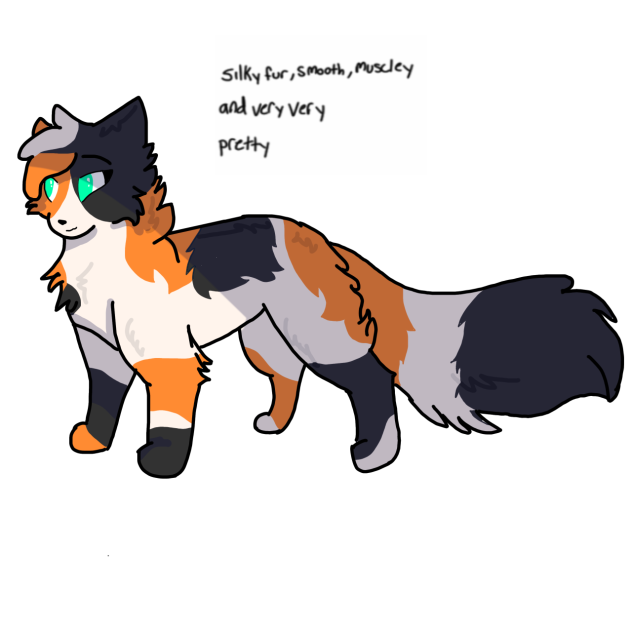 Lily as a Warrior Cats
