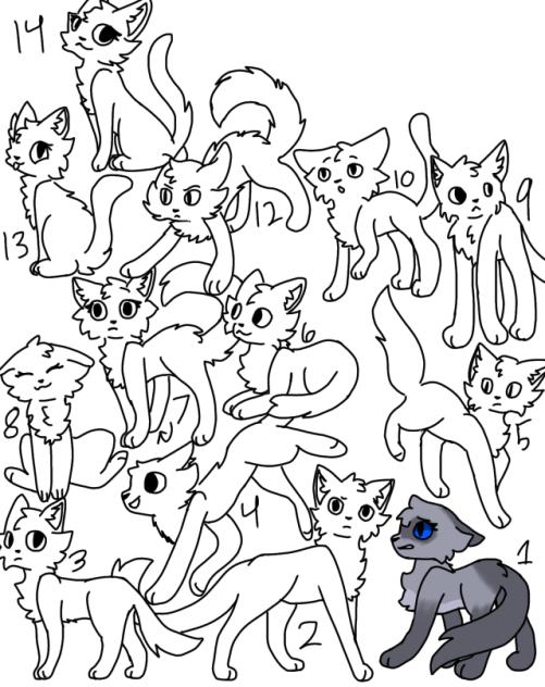 How I thing warrior cats look!!!