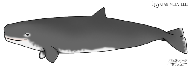 Livyatan melvillei