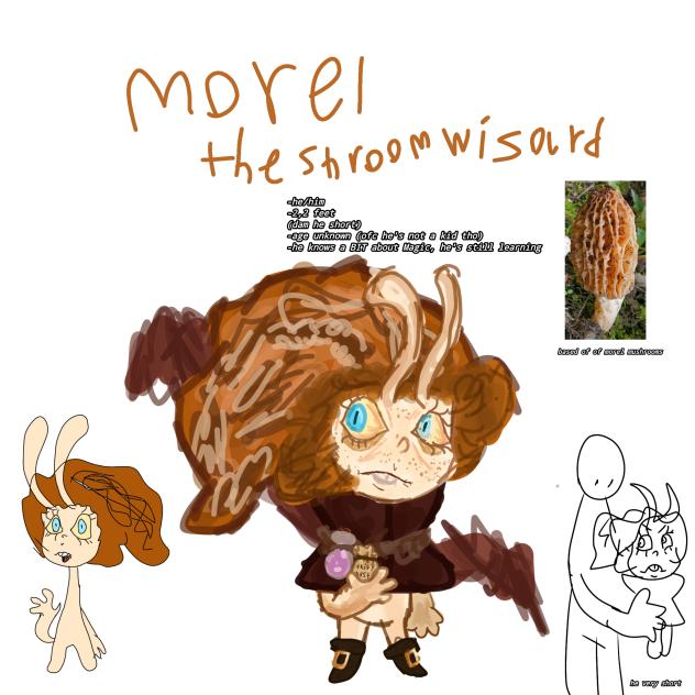 Morel (Oc)